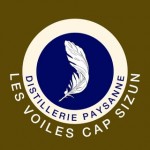 458465203_486070107611828_8383892906143077811_n