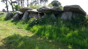 Allée_couverte_de_Kerbannalec_-_vue_depuis_le_nord-est
