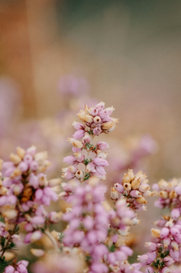 Capture d’écran 2026-04-14 090809