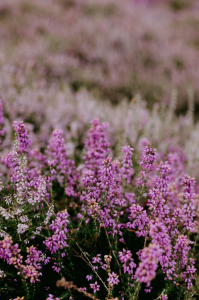 Capture d’écran 2026-04-14 094228